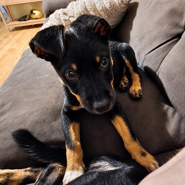 Photo of Parker