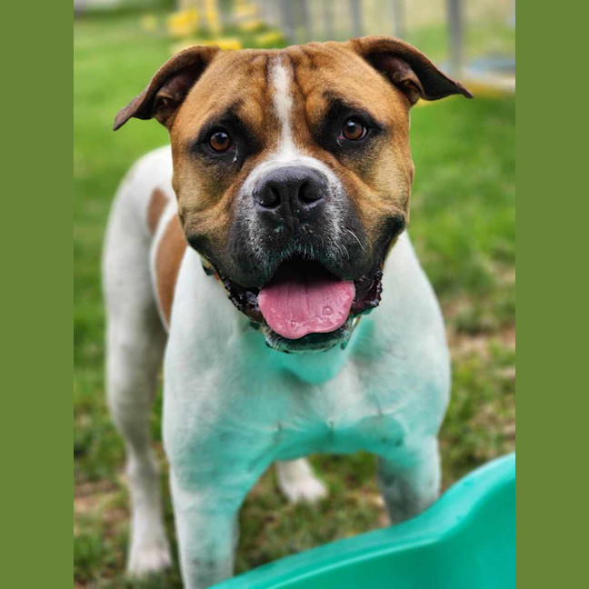 Photo of 🥯 Crumpet 5721 🥯