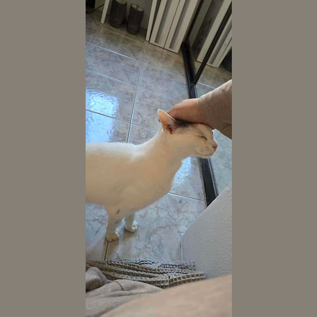 Photo of Angel