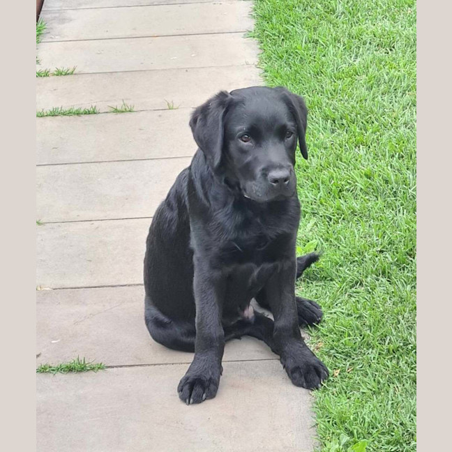 Photo of Doug