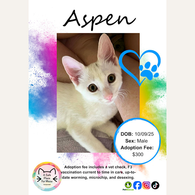 Photo of Aspen