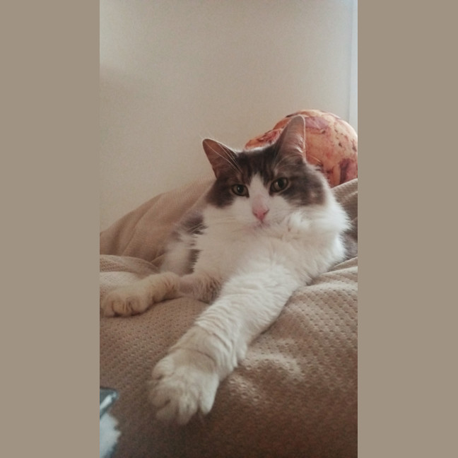 Photo of Greg