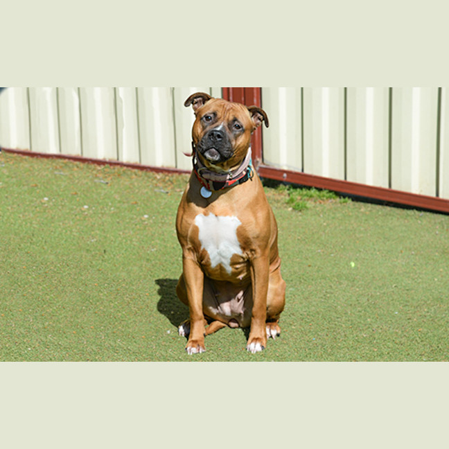 Photo of Miss Hippo
