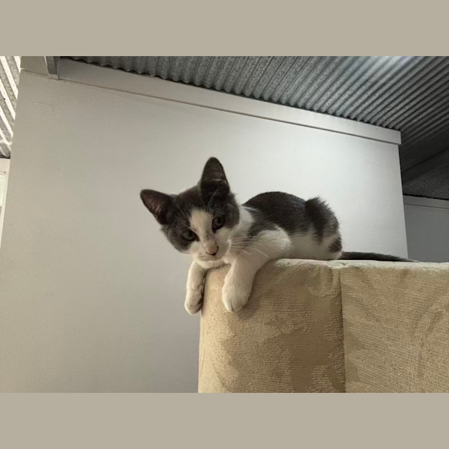 Photo of Mim Meet Me @Ptstock Hastings