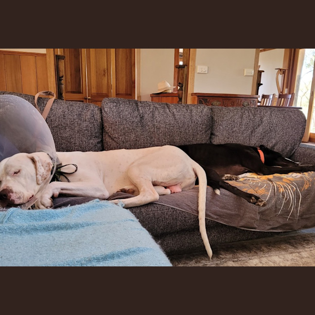 Photo of Mackalicious