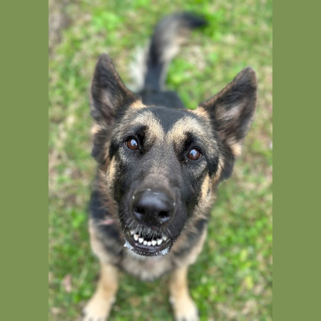 Photo of Maggie