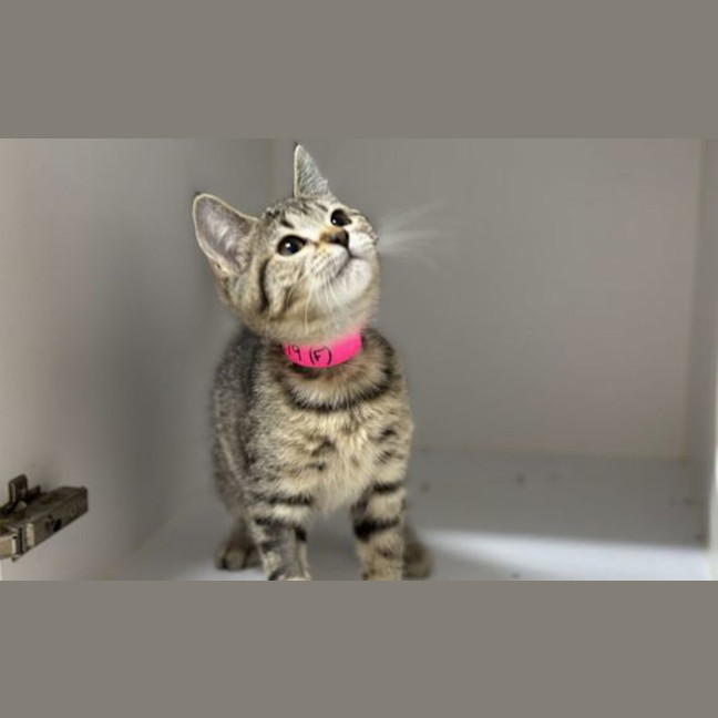 Photo of Molly
