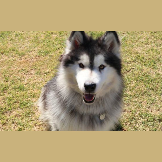 Photo of Bella
