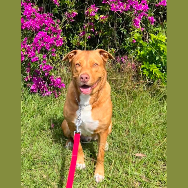 Photo of Monty