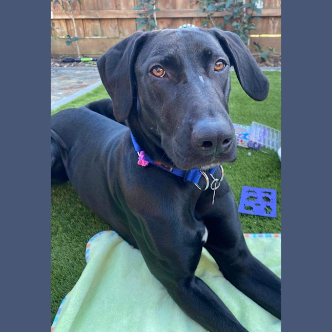 Photo of Maggie 🌻