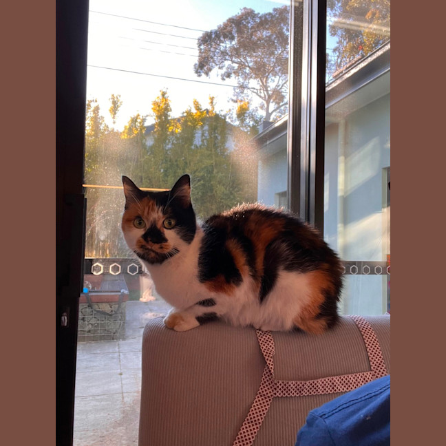 Photo of Sophie