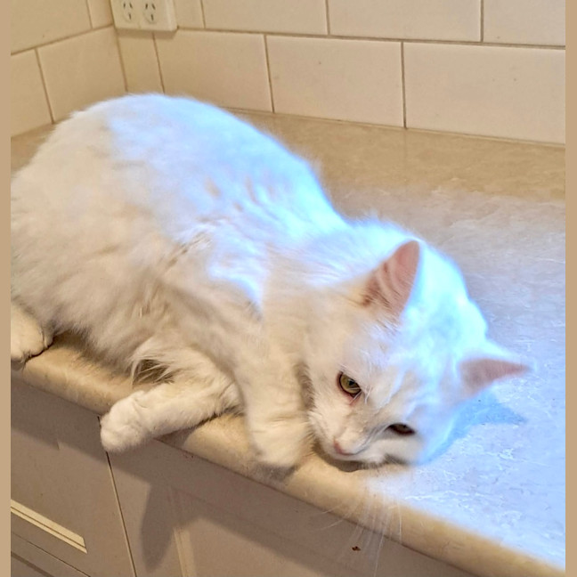 Photo of Topaz