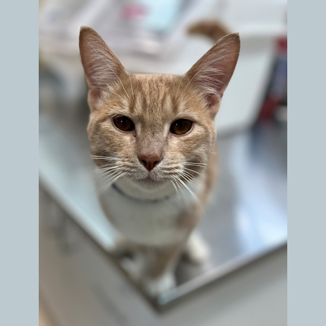 Photo of Floyd (0203)