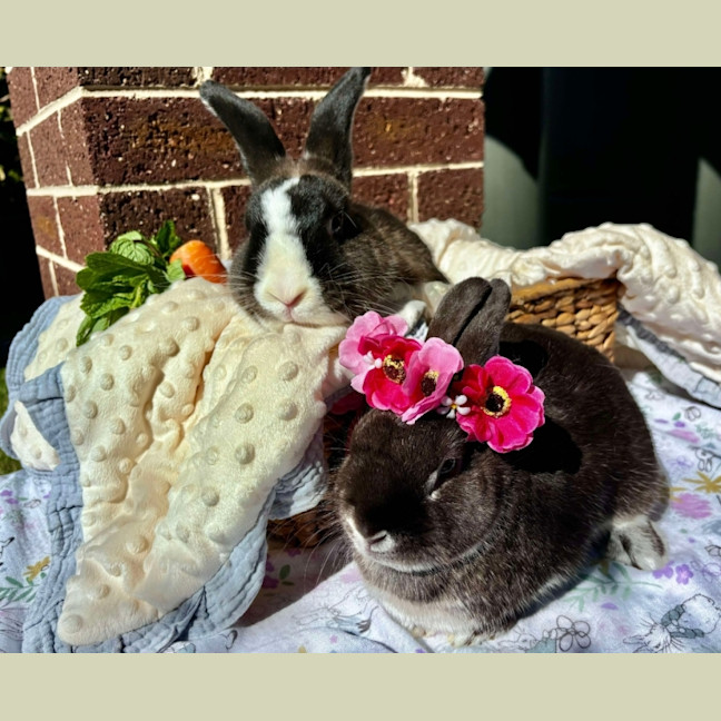Photo of Bunbun And Lil Man