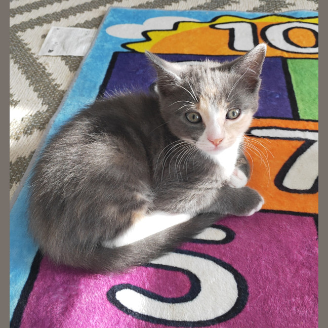Photo of Laylah