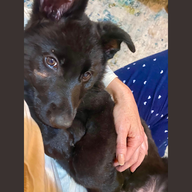 Photo of Monty