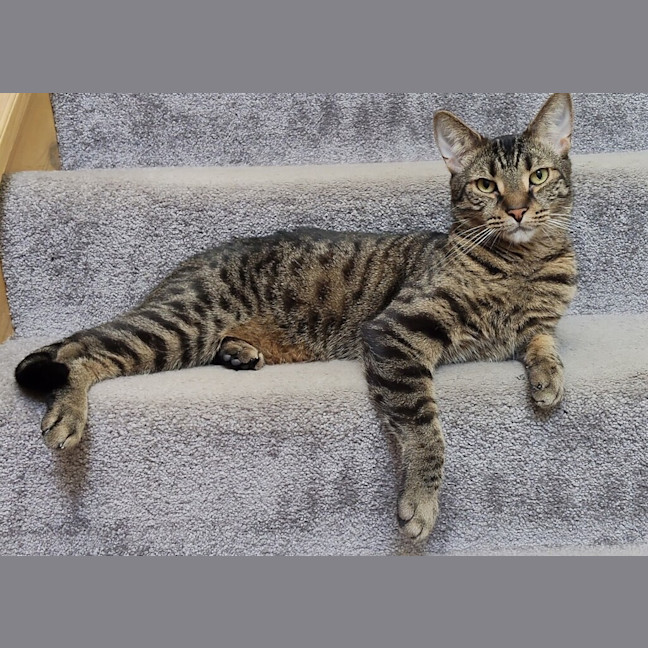 Photo of Leo