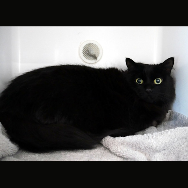 Photo of Gia Sua014339