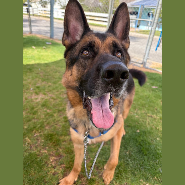 Photo of Kaiser
