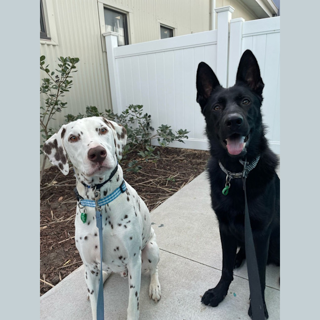 Photo of Loki & Remy