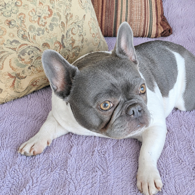 Photo of Storm