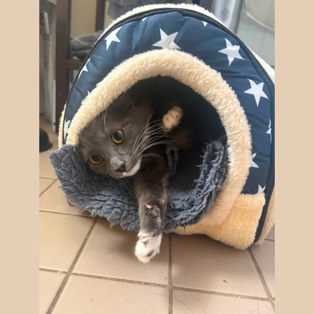 Photo of Evie