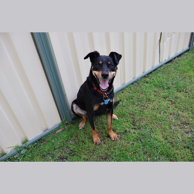 Photo of Muster
