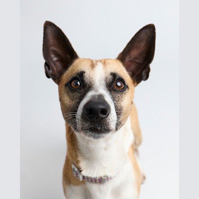 Photo of Arlo