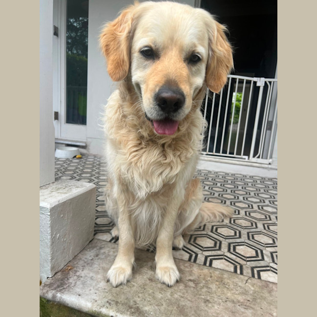 Photo of Digger