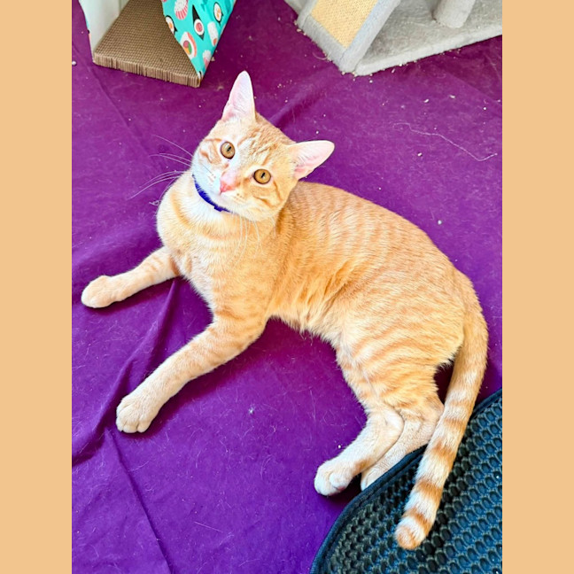 Photo of Ren