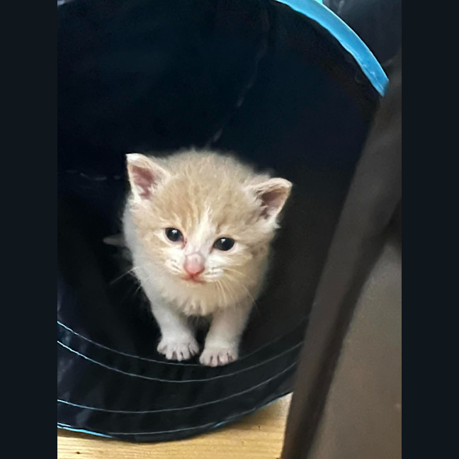 Photo of Cleo