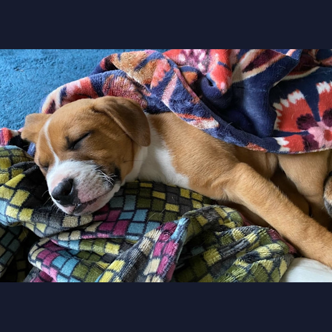Photo of Howie