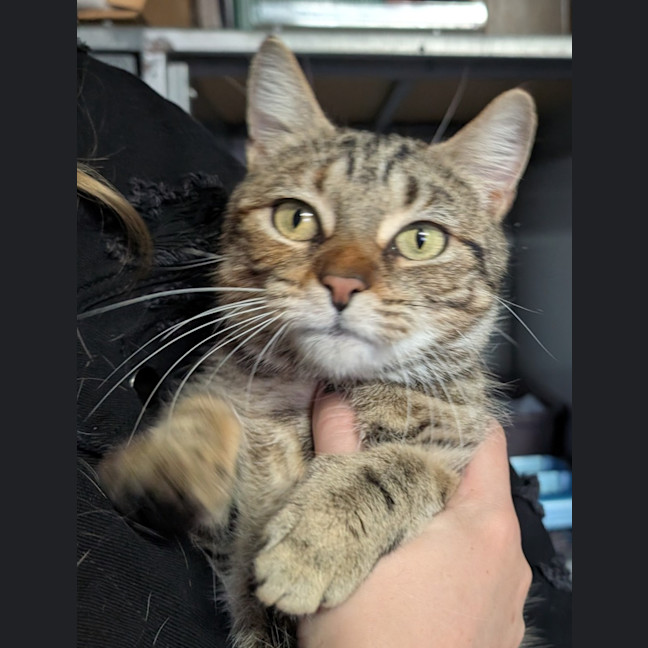 Photo of Ivy