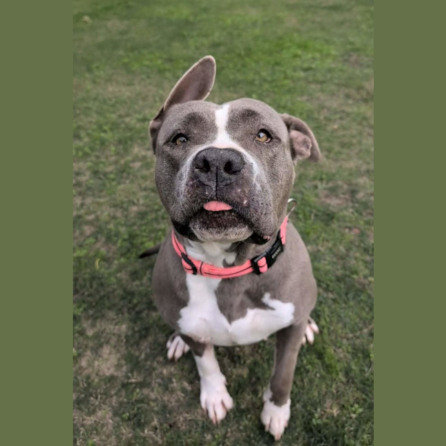 Photo of Suzie