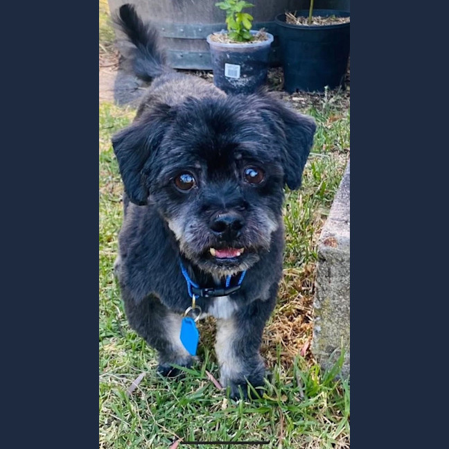 Photo of Hugo And Ollie