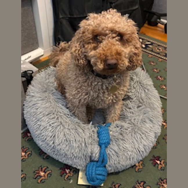 Photo of Holden