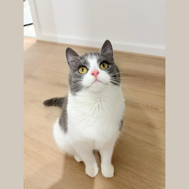 Photo of Penelope
