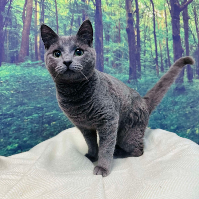 Photo of Travis   Located In Preston