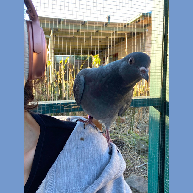 Photo of Mabel