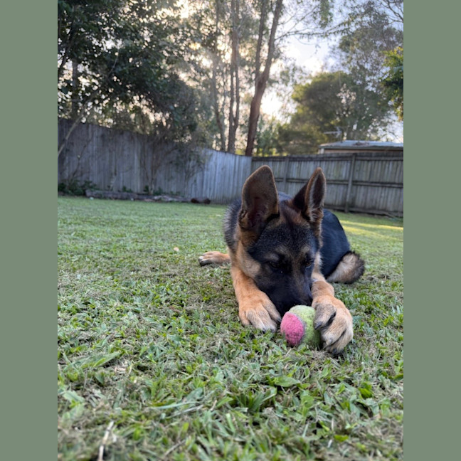 Photo of Grady