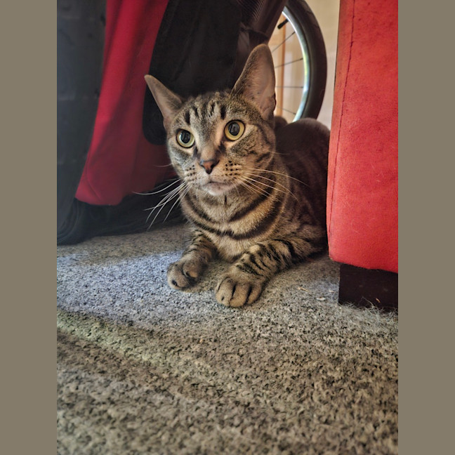 Photo of Lexi