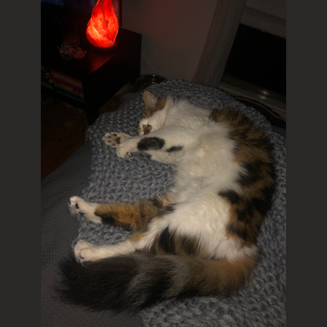 Photo of Hazel