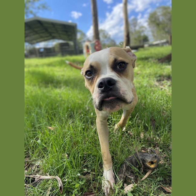 Photo of Billy