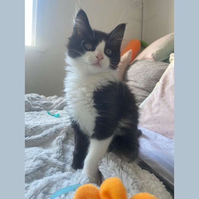 Photo of Bear Sanderson