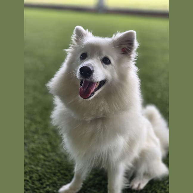 Photo of Crystelle