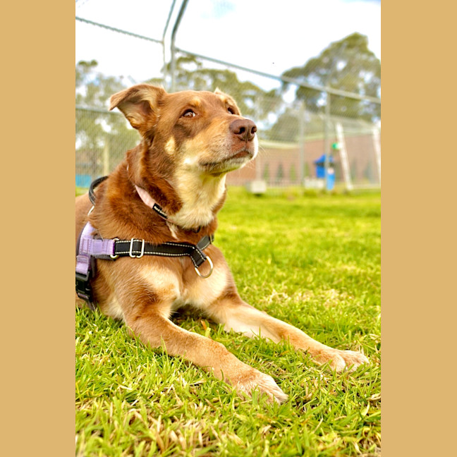 Photo of Maya