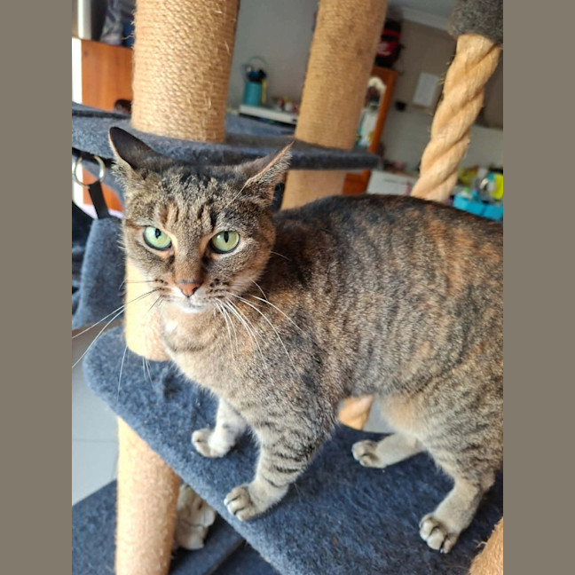 Photo of Dot