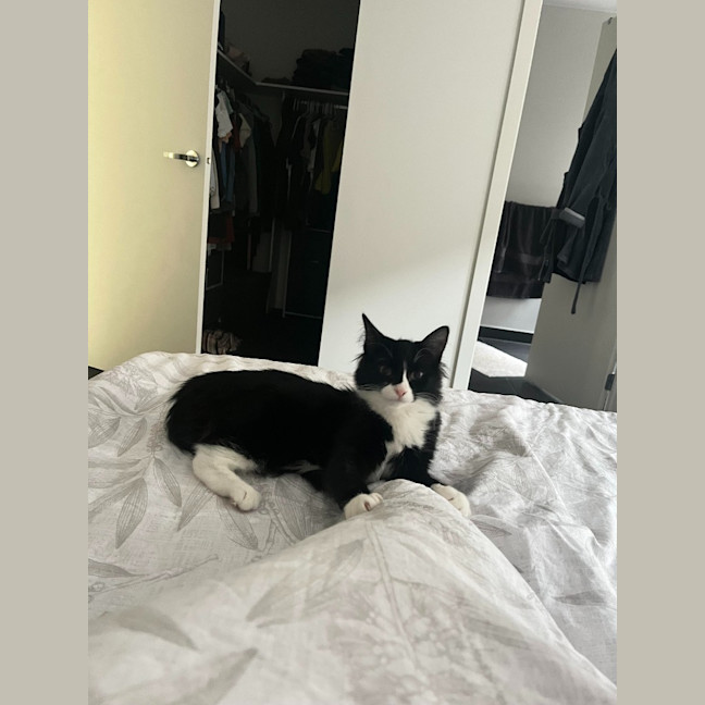 Photo of Annabel