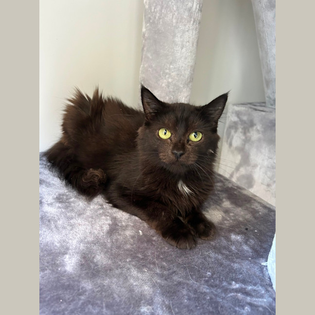 Photo of Harper 🩷 