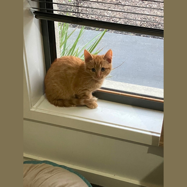 Photo of Arlo